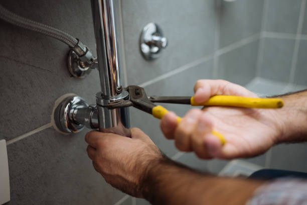 Best Local Plumber Services  in Naples, FL